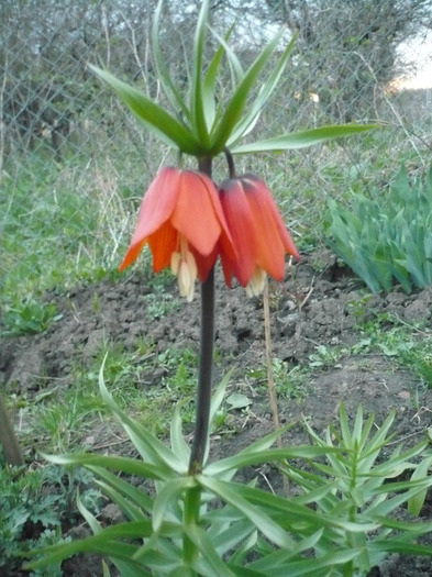 046