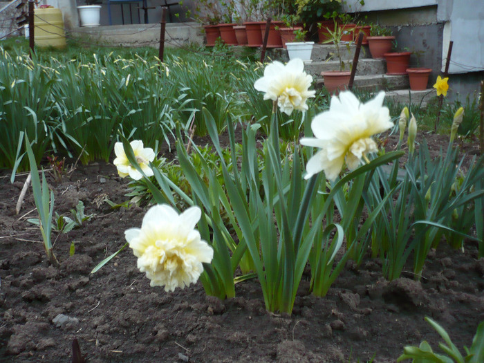 050