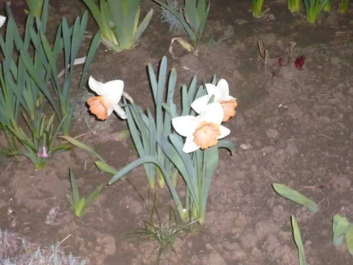 055