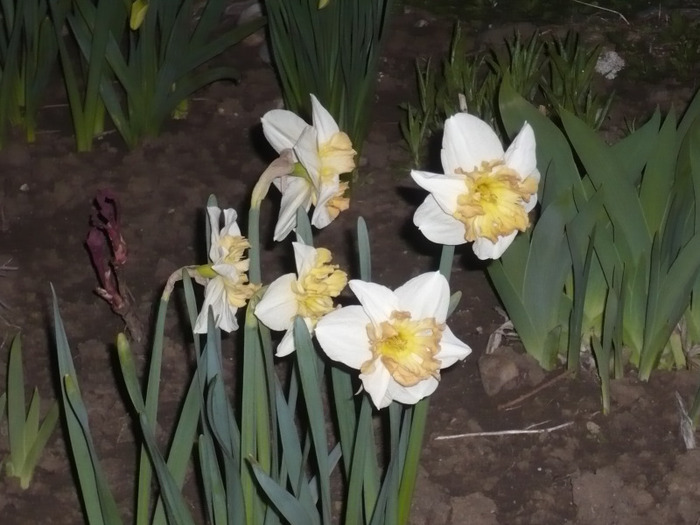 062