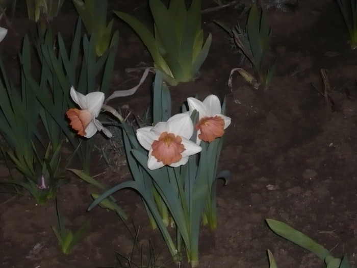 063