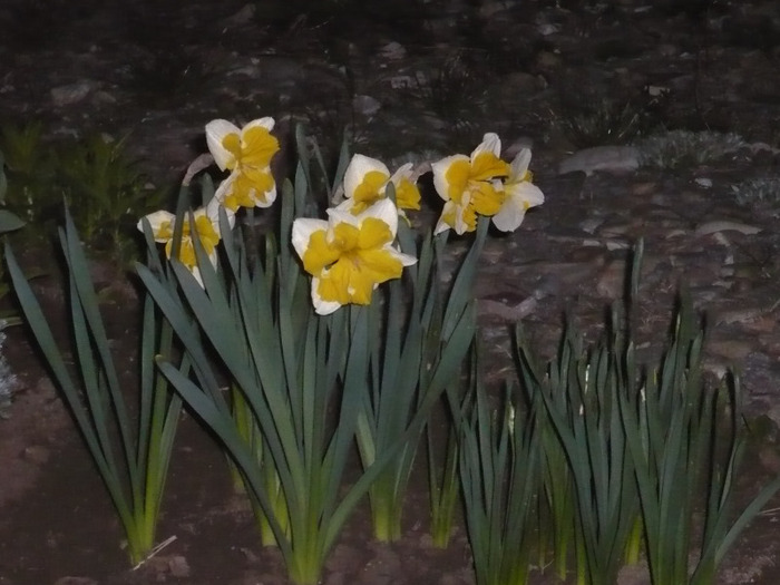 064
