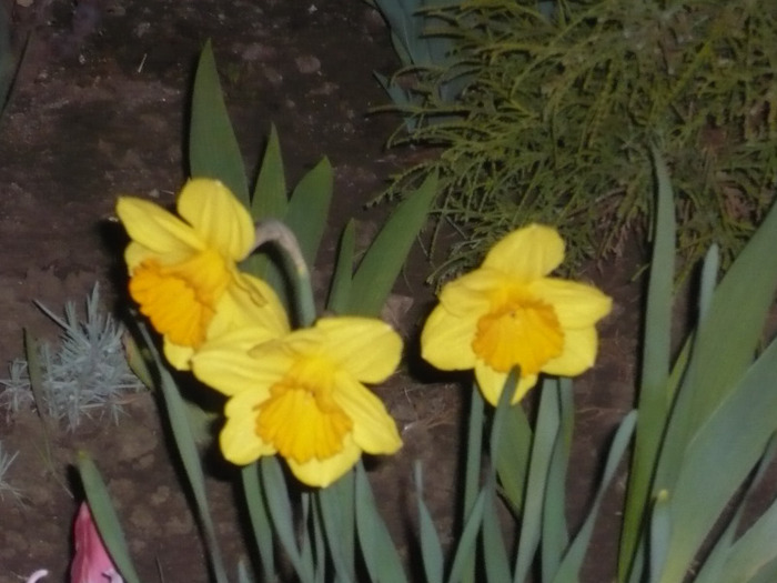 065