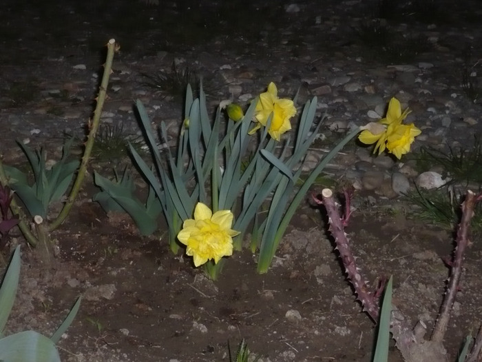 070