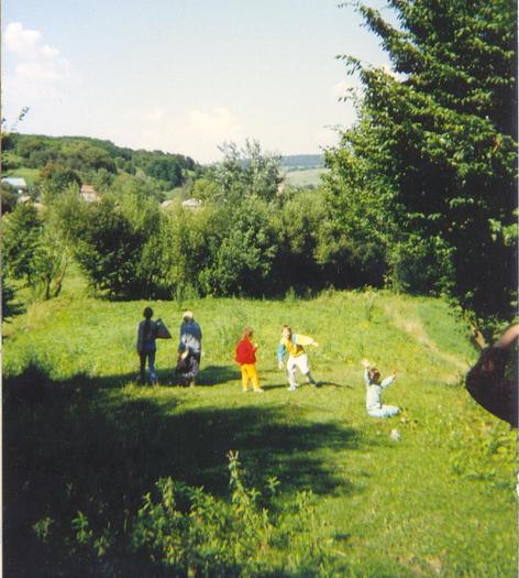 in padure la distractie si ciuperci