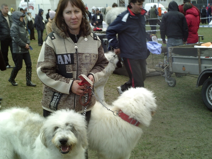 marga lord si lady - lady si lord expo canin 2011 brasov