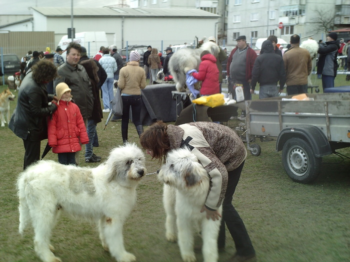 marga si caateii la concurs - lady si lord expo canin 2011 brasov