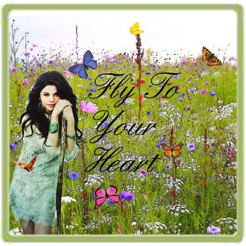 fan.fly.to.you.heart. - fff Sedinta foto Selena Gomez Fly to your heart ffff