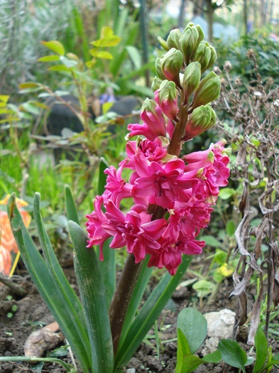 DSC02577