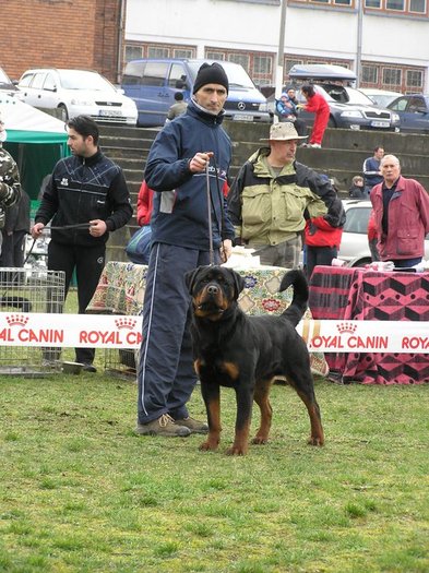 hogan medias - HOGAN  ADAMSS ROTT