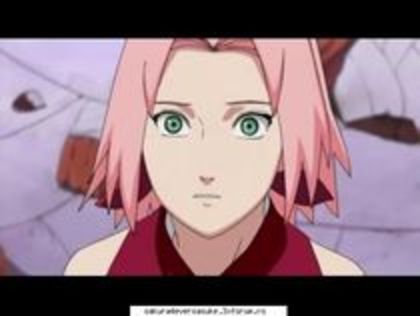 Sakura18