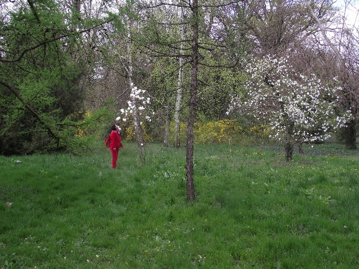 DSCF1102 - excursia la parcul denrrologic de la  Macea