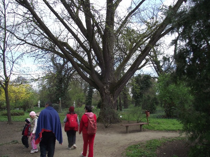 DSCF1109 - excursia la parcul denrrologic de la  Macea