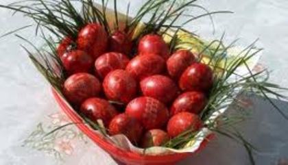 BCAO044UFCAH0FS6ZCAYNSS9YCAO19K9OCARI9E5HCAZNUJQ9CA8T50AYCAU9OD4XCAUJBEWYCACRB7JACAGHBOC6CA1VL9L4CAC - Happy Easter