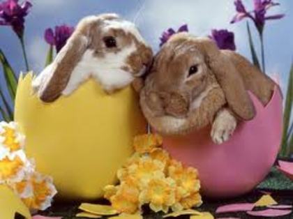 images4 - Happy Easter