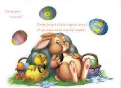 QCAK821IXCADRVGSDCAE1KC8MCADMB1VCCAWC14D5CA4DUZESCAL5H83YCALNW0ZACA0IHXUHCA2E9LW5CAI1JOOWCASQQL42CAD - Happy Easter