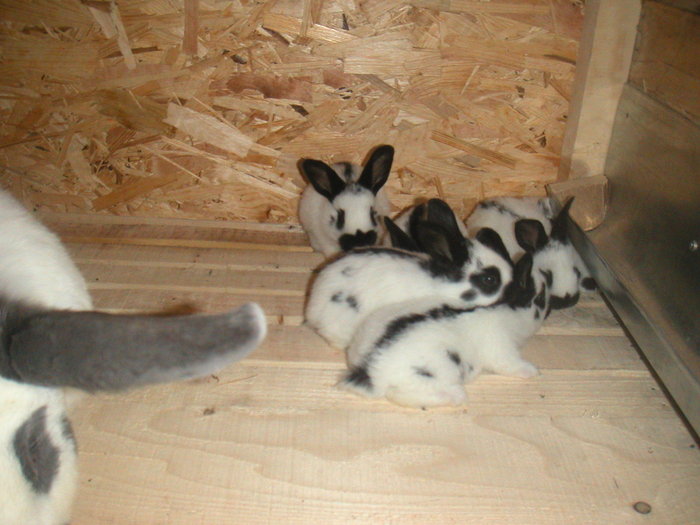 PICT0034