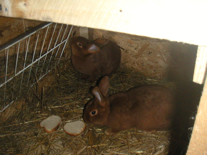 PICT0010