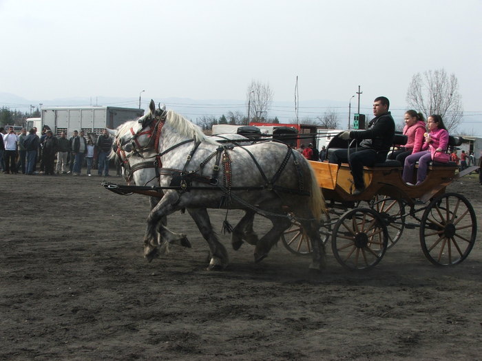 33863253_UFFGAGFGE - expozitie sibiu 2011