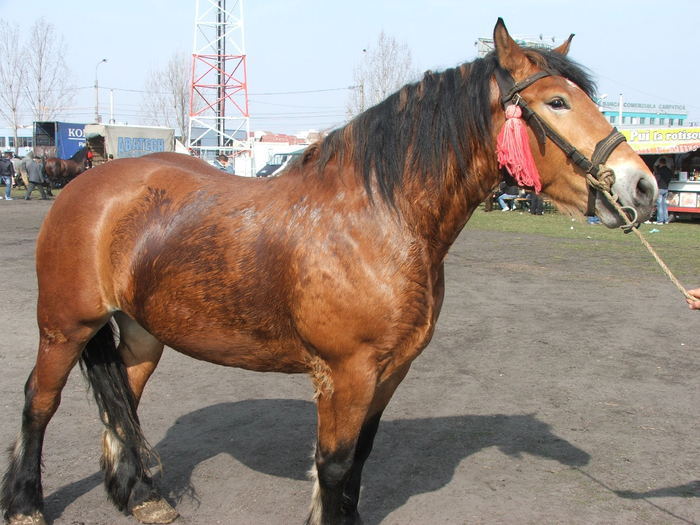 34688234_NNJGQYJLC[1]