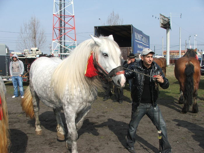 34688242_YIZBWNLCE[3]