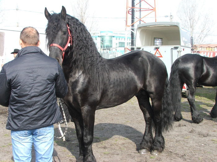 34688257_HQMLZYCLX[1]