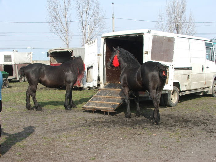 34688268_RPSOBVMCU[1]