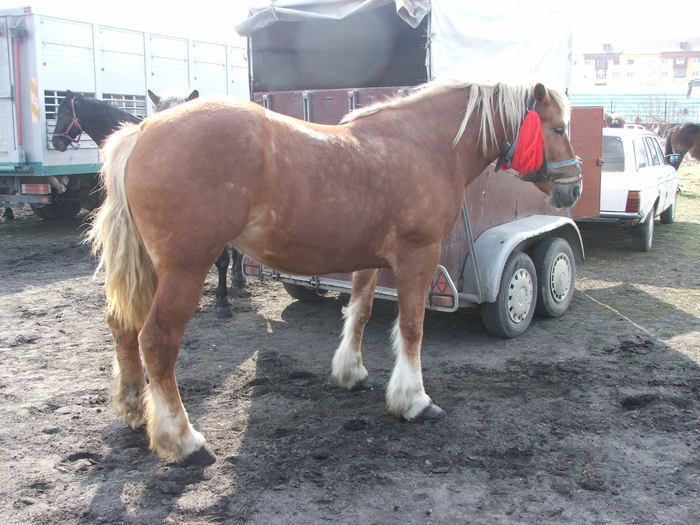 34688300_GQKPHUDCS[1]