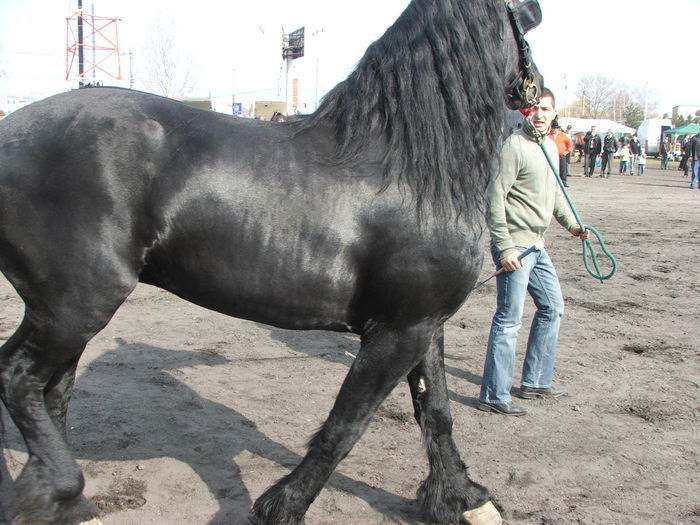 34688303_LXHODYZTF[1]