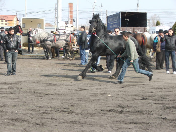 34688308_NEVBTLGYP[1]