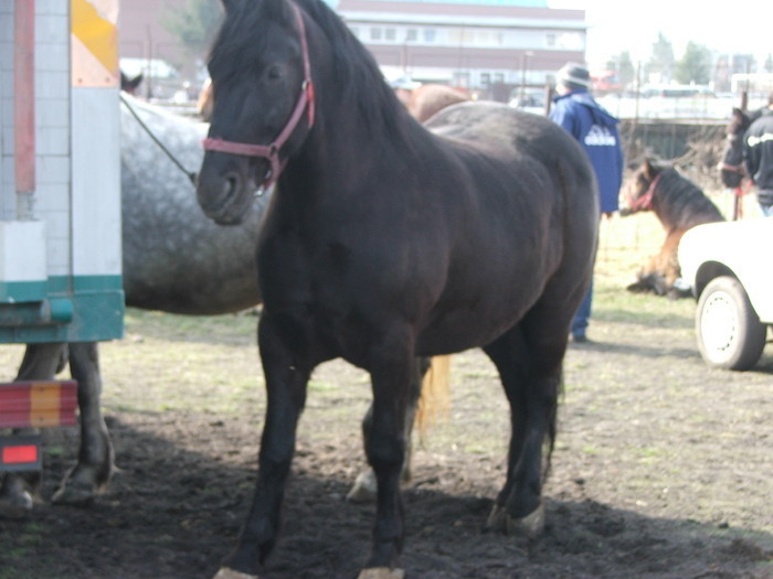 34688313_BRWMJNOIP[1]