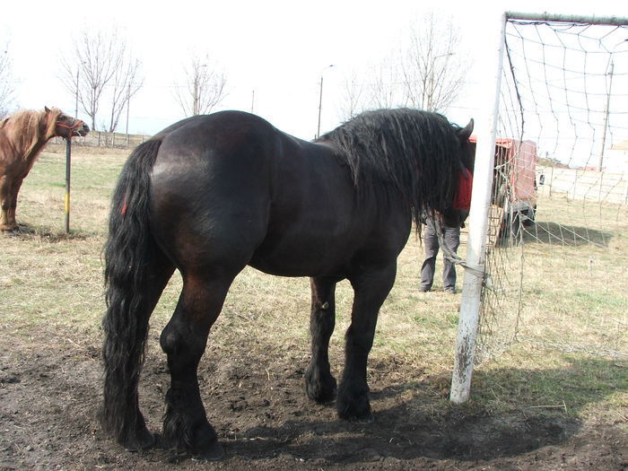 34688315_FWZBJDXLX[1]