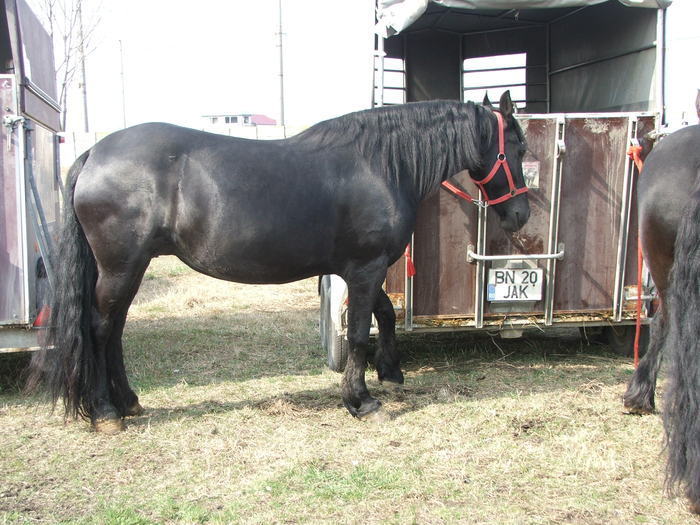 34688322_HRLEAEAYZ[1]