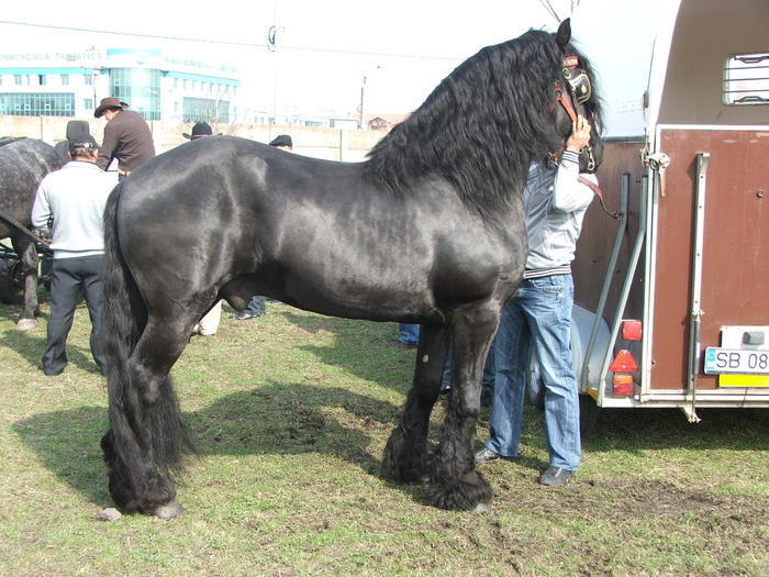 34688323_NTGJABOXM[1]