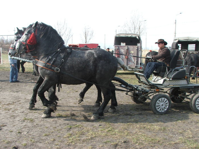 34688327_IANXZARCT[1]