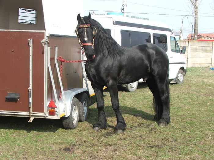 34688332_FCVRLWEJV[1]