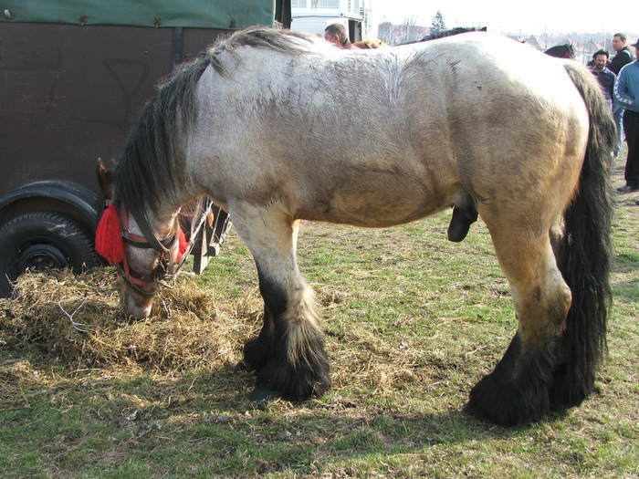 34688336_FBYYJEMRR[2]