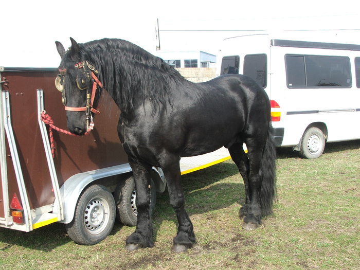 34688337_SLIXJBBHG[1]