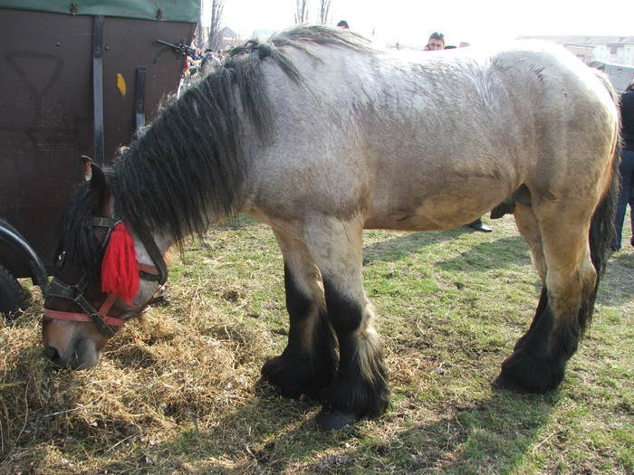 34688341_ZLUWRXSJJ[1]