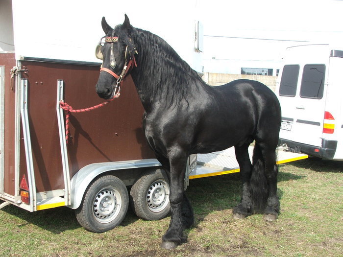 34688343_OOTKTUISD[1]