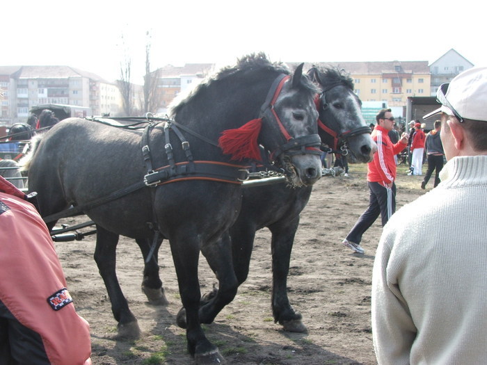 34688346_OWWUVHPSZ[1]