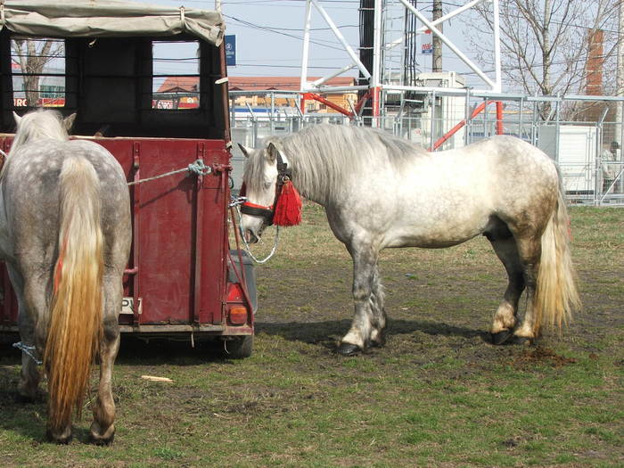 34688368_WDZHRXNUK[1]