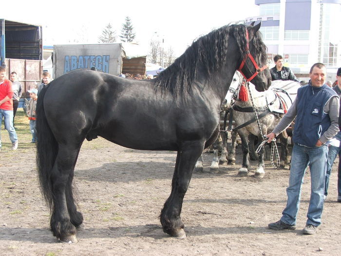 34688369_QUROCOFJX[2]