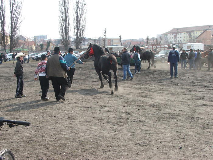 34688380_MPEQRNUSN[1]