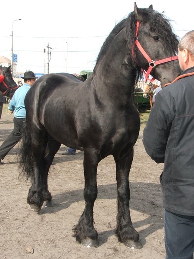 34688385_JMPCUJMTL[1]