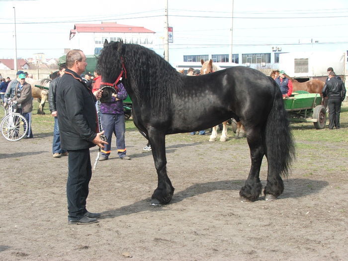 34688387_USRHQHLWI[1]