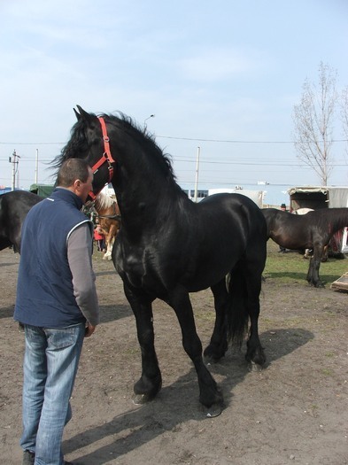 34688389_FVBTIQXZI[2]