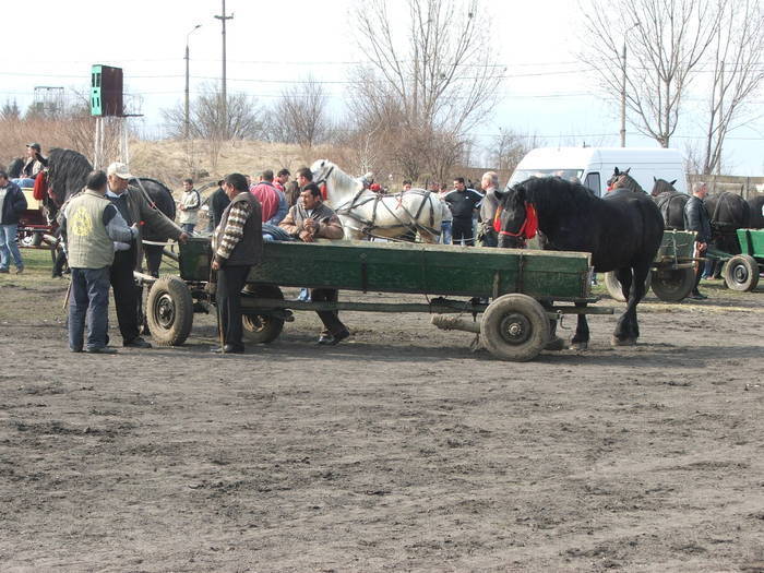 34688390_KTAYDNNFI[1]