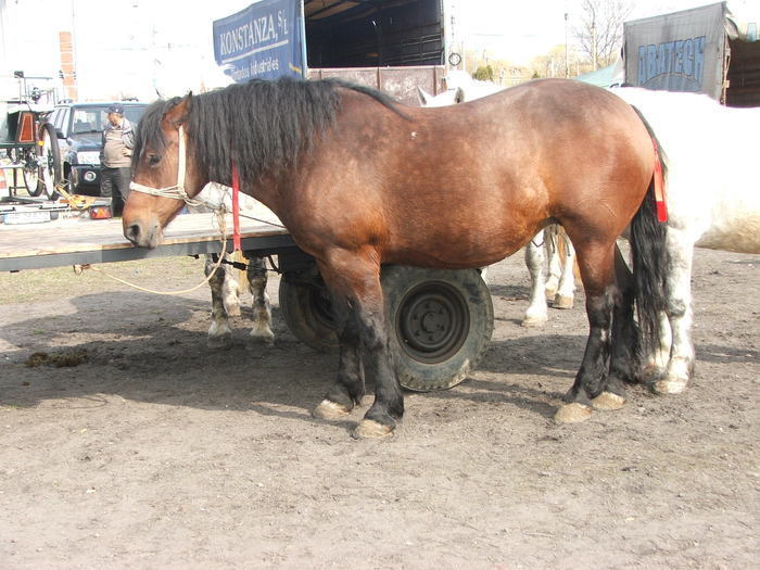 34688391_XSCINVAVL[1]