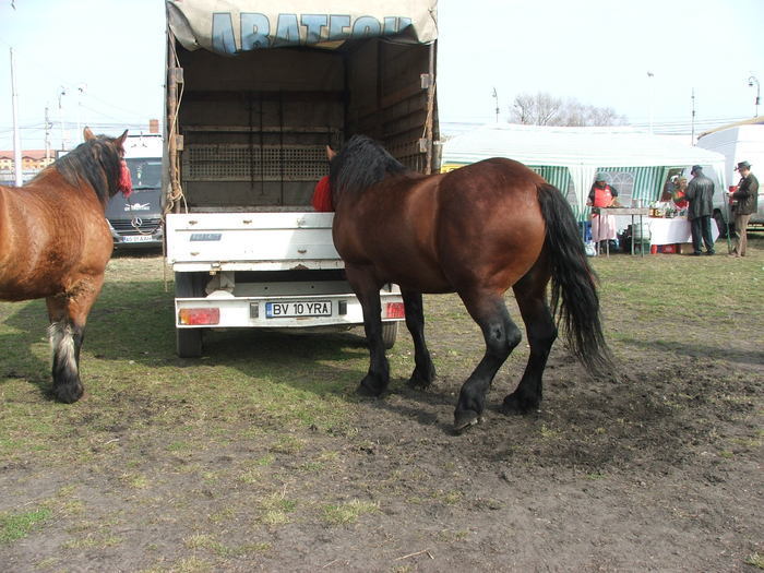 34688395_LHOWPVEFI[2]